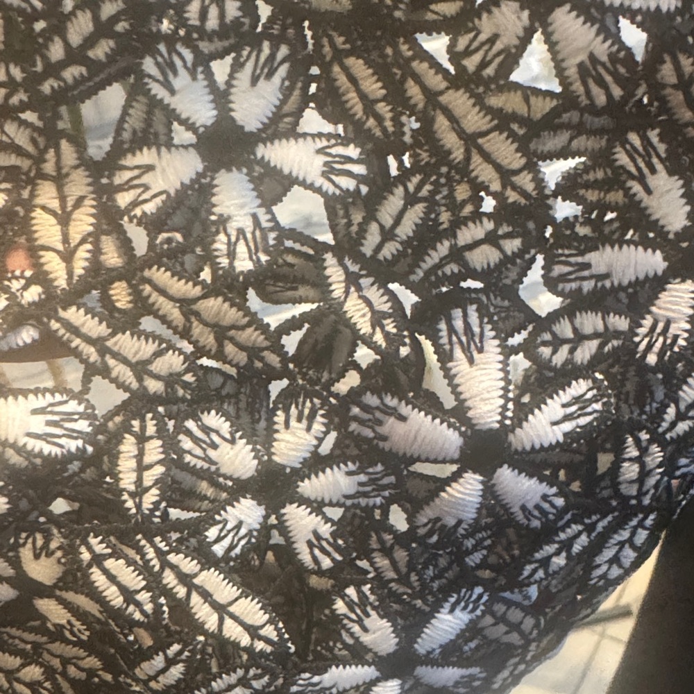 Maree Pour Toi Black Blouse With White Lace Sleeves View 5